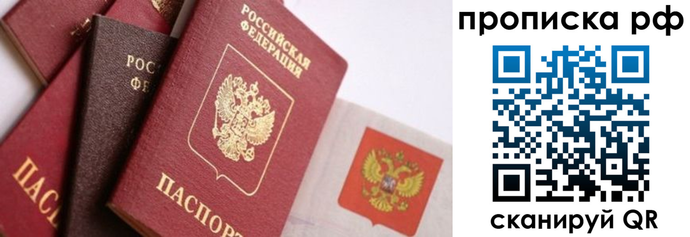 прописка ребенка в Чкаловске